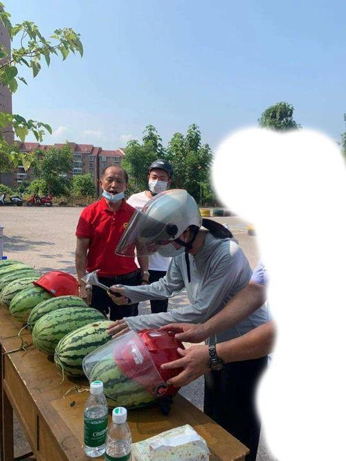 济宁最新吃瓜事件,揭秘网络热议背后的真相