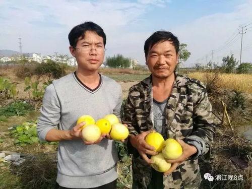 那霍吃瓜群众,揭秘街头巷尾的热议焦点