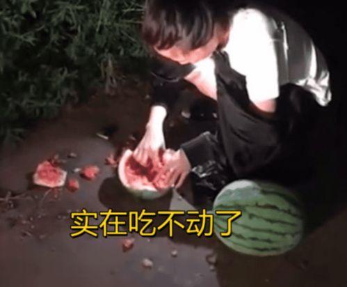 偷瓜吃的视频,一场欢乐的“偷瓜大作战”
