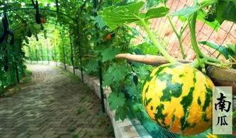 酒店吃瓜搞笑,笑料百出，欢乐无限