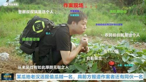 吃瓜成犯人,网络舆论的反思与启示