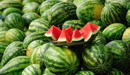 沈赤赤吃瓜,揭秘娱乐圈背后的那些事儿