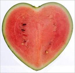 吃瓜.我爱你 爱心,一场甜蜜的“吃瓜”之旅