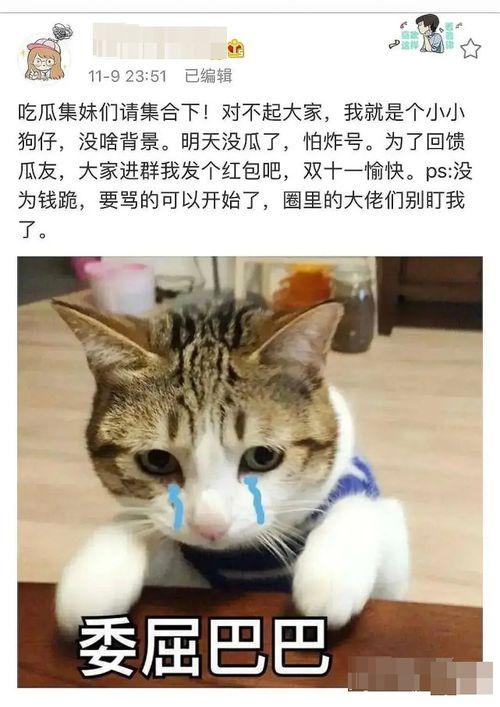 吃瓜群聊头像,揭秘吃瓜群聊头像背后的故事