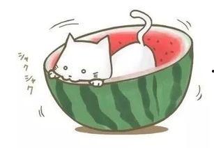 球妈吃瓜,揭秘娱乐圈幕后故事