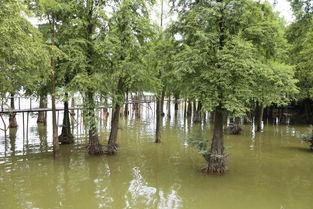 吃瓜视频大峡谷