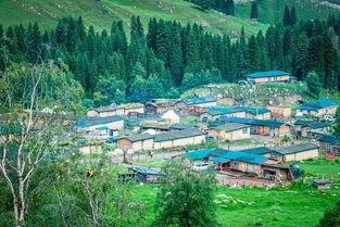 新疆花田小镇吃瓜,尽享夏日田园风情