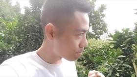 rainie田撒谎吃瓜,揭秘娱乐圈吃瓜背后的真相