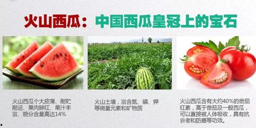 齐鲁大地吃瓜,探寻山东特色美食之旅