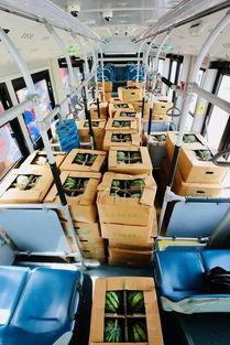 公交车上的吃瓜,一幕幕社会百态