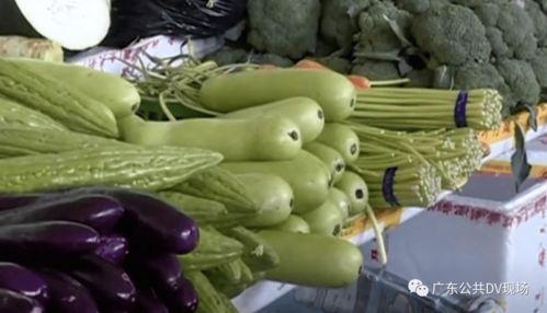 怎么吃瓜不苦,如何品尝瓜果美味，尽享甜蜜时光