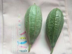 瓜叶杆子怎么吃,探索绿色食材的新吃法