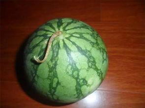 黑老吃瓜网,黑老吃瓜网带你领略幕后风云