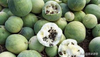 宿舍吃瓜嗑瓜子,揭秘宿舍里的嗑瓜子趣事