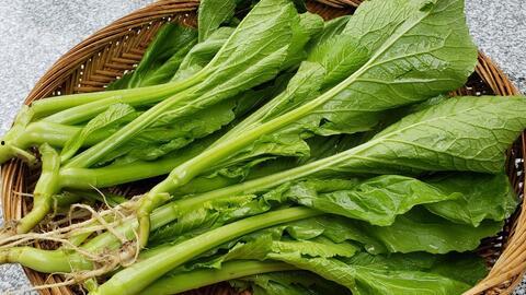 潮汕豺狼吃瓜,揭秘神秘民间传说背后的故事