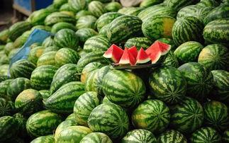 微胖吃瓜,揭秘娱乐圈那些不为人知的幕后故事