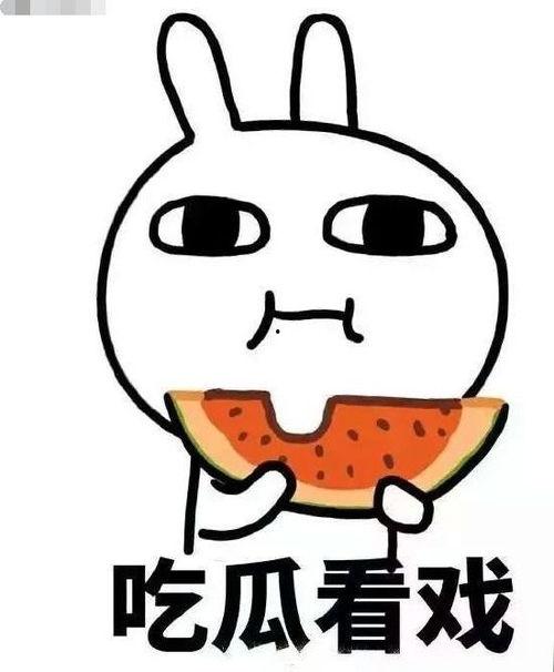 吃瓜界王,揭秘那些年我们一起吃过的瓜