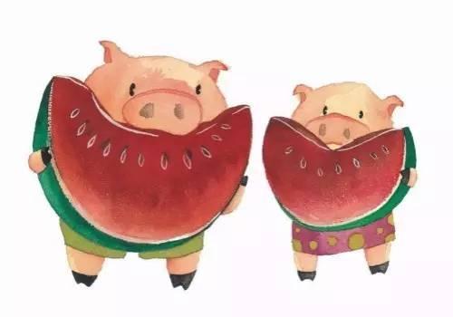 吃瓜吃成猪的视频