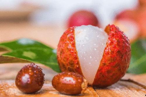 爱吃荔枝吃瓜,夏日消暑美食之旅