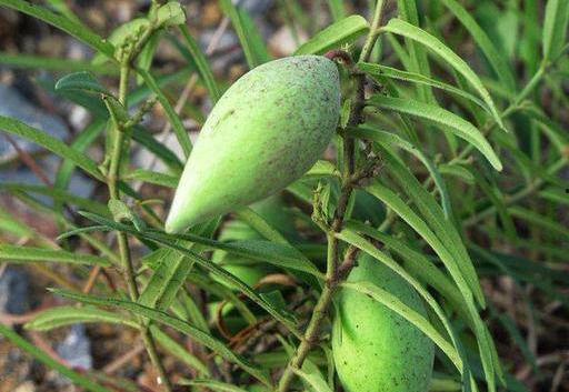 减肥吃瓢瓜,天然低卡美食，轻松享瘦生活