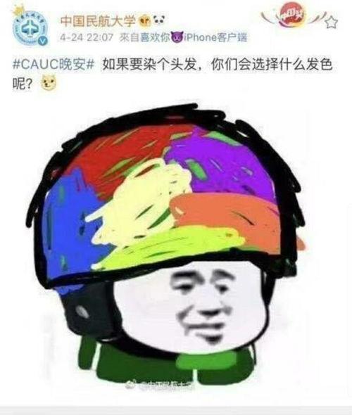 阴阳吃瓜人,揭秘人生百态的趣味哲学
