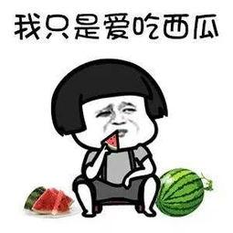 带你吃瓜征服世界,轻松征服世界美食之旅