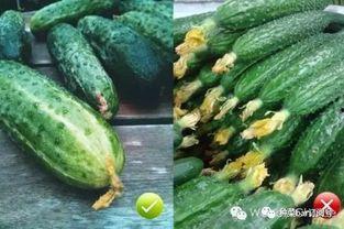 吃瓜不花,揭秘娱乐圈幕后真相