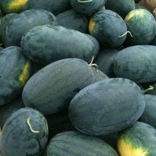 于适吃瓜宝藏,一场娱乐与美食的奇妙邂逅