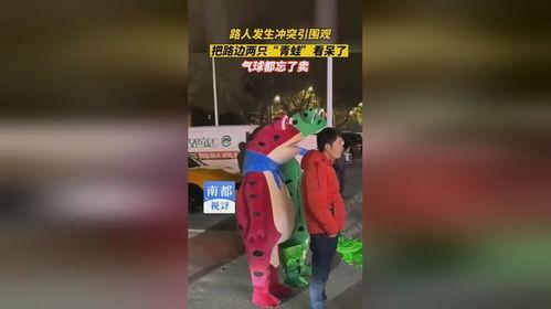 青蛙路边沉迷吃瓜