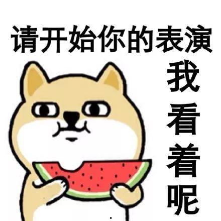 吃瓜的群众的一天