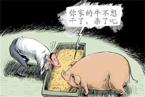 吃瓜和说闲话,揭秘娱乐圈背后的故事