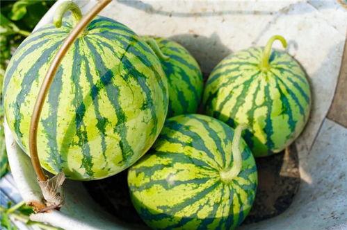 吃瓜清晨,揭秘娱乐圈最新热点事件